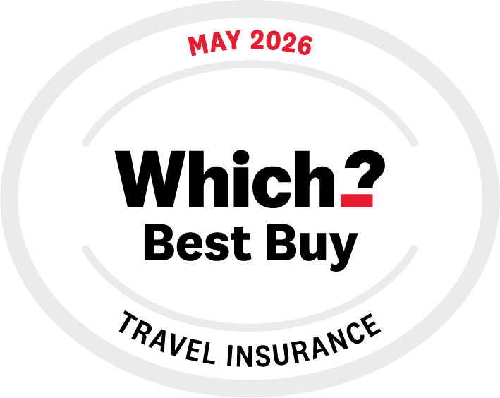 Which Best Buy Logo